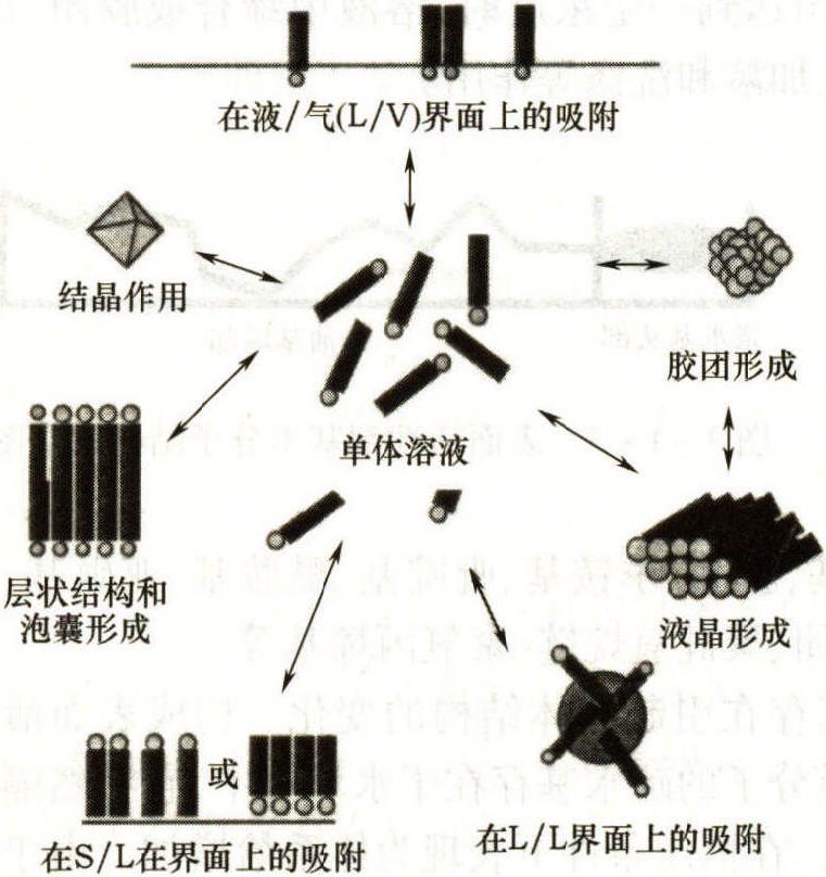 1.3 表面活性劑在溶液中的相譜<sup>[4]</sup>